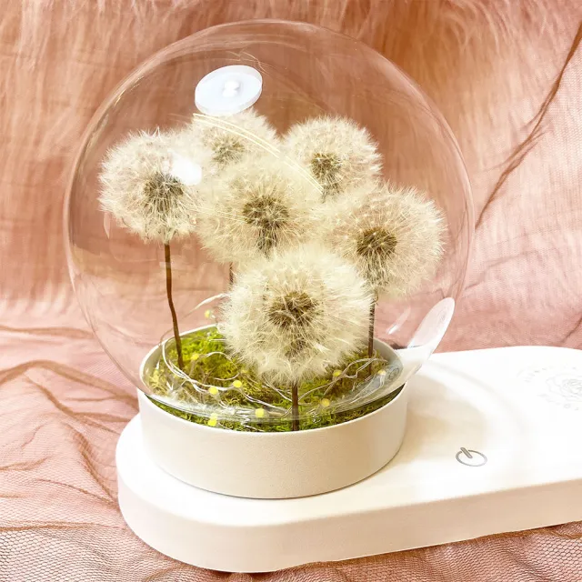 【OSTARA FLORIST 奧斯塔拉花藝】滿滿小巧蒲公英圓球玻璃罩燈飾 水晶石擴香系列(永生花、居家生活、花禮)