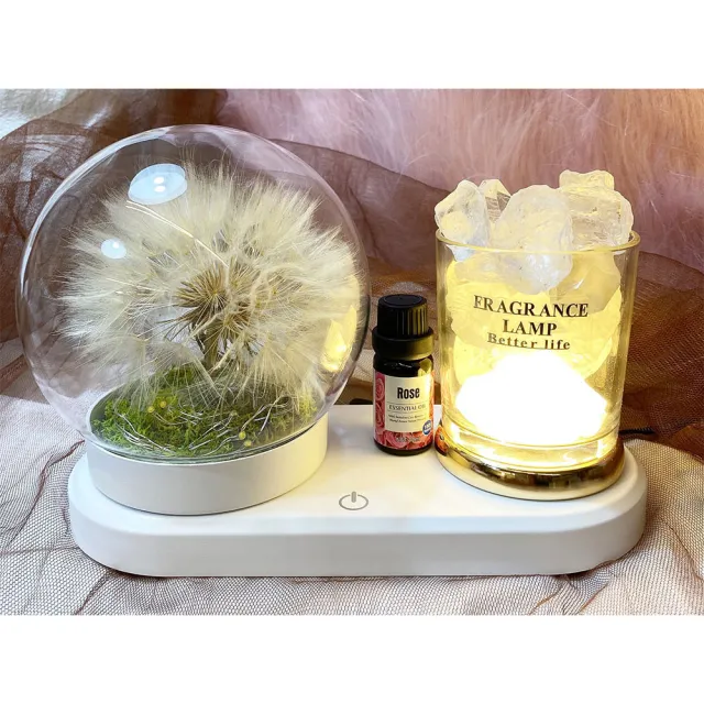 【OSTARA FLORIST 奧斯塔拉花藝】巨型療癒系蒲公英玻璃燈飾 有精油擴香功能(永生花、居家生活、節日送禮)