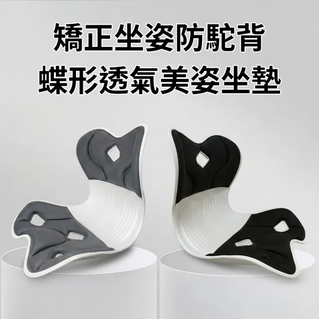 | BALIMAN情報局 【2026】正脊坐墊推薦|10款高評價人氣品牌排行榜 | BALIMAN情報局