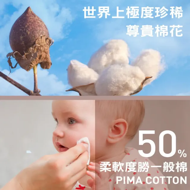 【LOHAS 樂活人生】5入組-台灣製歐洲精品92%PIMA棉 透氣抑菌高腰女內褲（天然無毒親膚）