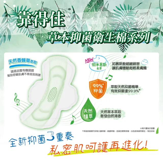 【Kotex 靠得住】10包-17.5、23、26、28、35cm草本抑菌/蔓越莓衛生棉(多種尺寸可選)