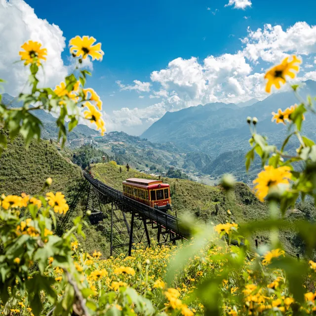 好饗趣旅遊|越南沙壩5日★指定出發5-10月-奢華5星萬豪龍蝦吃到飽