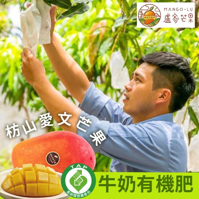 芒果
