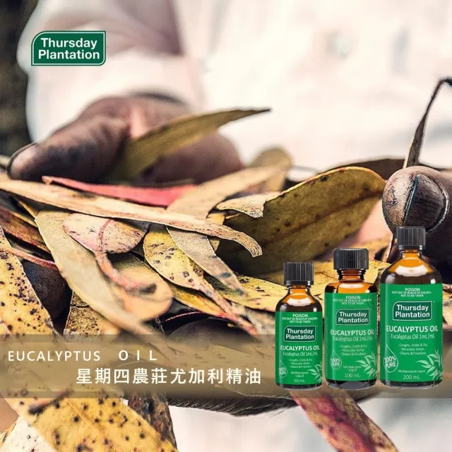 【ThursdayPlantation 星期四農莊】尤加利精油50ml(澳洲原廠公司貨)禮物/禮盒/2026推薦