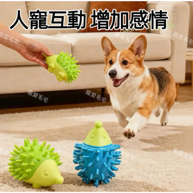 【2026】狗狗玩具推薦｜10款高評價人氣品牌排行榜 | BALIMAN情報局