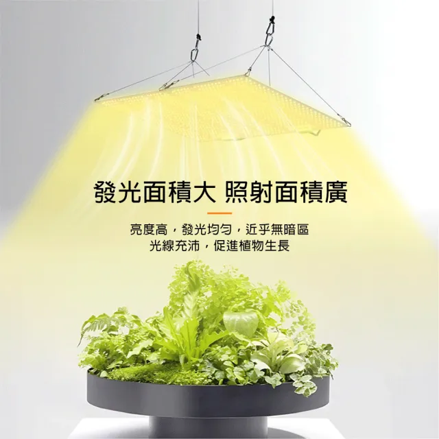 【LADUTA 拉布塔】120W全光譜量子板 植物生長燈 無極調光 高光效LED 多肉補光