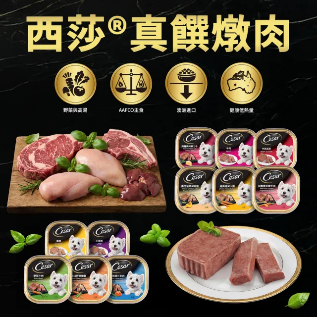 【Cesar 西莎】經典風味餐盒 100g*24入(狗罐/犬餐盒/熟齡犬/全齡適用)