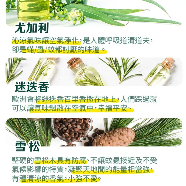 【古寶無患子】2瓶入 居家環境地板清潔劑-迷迭香尤加利(1000mlX2)