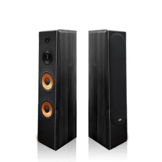 【金將科技】G&M FSJ128卡拉OK專業落地型喇叭(專業落地型卡拉OK喇叭)_
