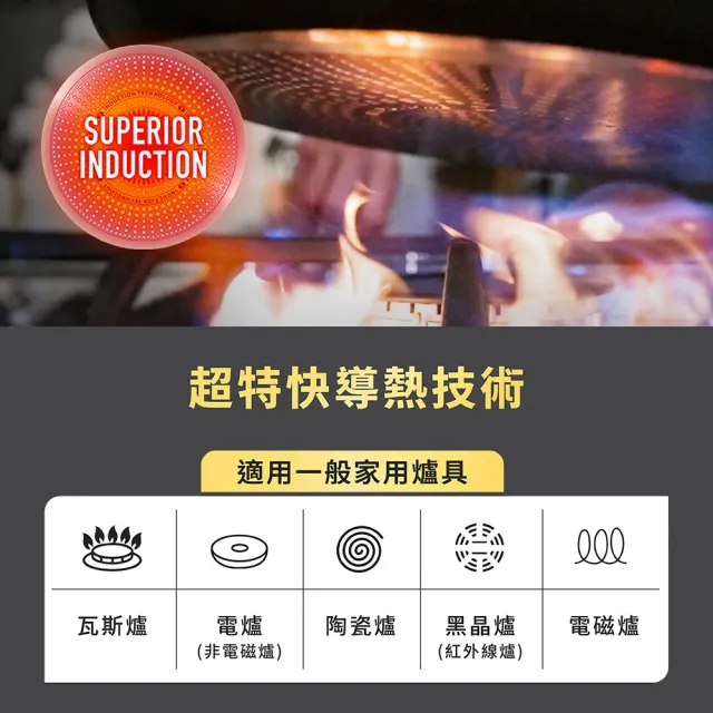 【Tefal 特福】法國製 精悍系列24cm不沾鍋雙耳湯鍋(加蓋)