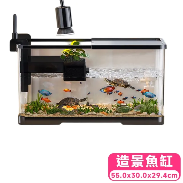 【2026】魚缸過濾器推薦ptt》10款高評價人氣品牌排行榜 | BALIMAN情報局