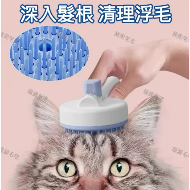 【2026】洗澡刷推薦10款高評價洗澡刷品牌排行 | BALIMAN情報局