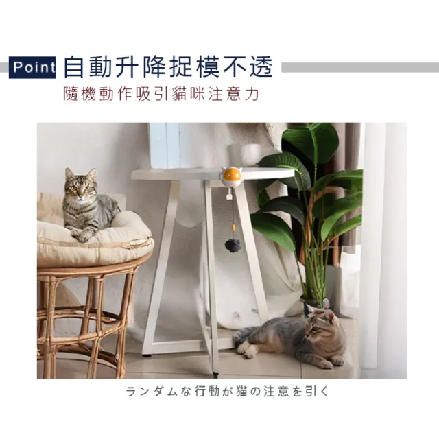 【Truly House】懸掛式逗貓神器 自動升降逗貓球 貓玩具 狗玩具 毛孩玩具 寵物玩具