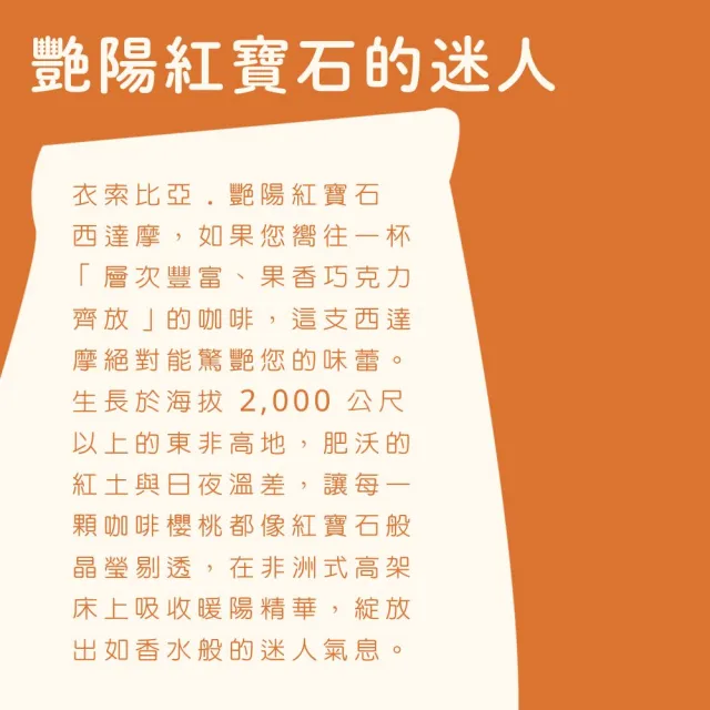 【Cozyhouse 暖窩】中焙 衣索比亞 西達摩 日曬 艷陽紅寶石咖啡豆 半磅3入(227g 3包果香巧克力齊放)