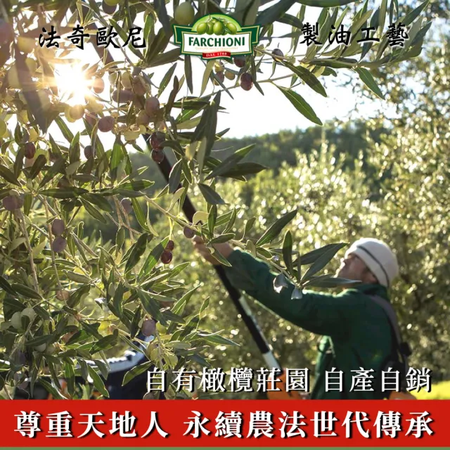 【法奇歐尼】義大利莊園特級冷壓初榨橄欖油500ml(金圓瓶/生飲級/高橄欖多酚/QAS食安/全素/原裝進口)