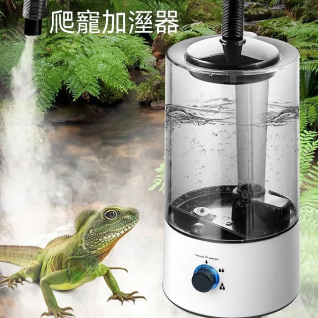 【2026】噴霧加濕機推薦｜10款高評價人氣品牌排行榜 | BALIMAN情報局