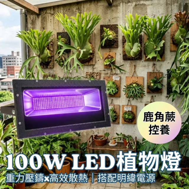 【JIUNPEY 君沛】100W 專業級防水壓鑄 LED 植物生長燈 (7號光譜/鹿角蕨控養)