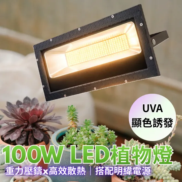 【2026】植物燈推薦ptt》10款高評價人氣品牌排行榜 | BALIMAN情報局