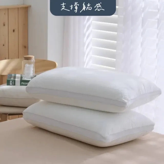 【飛航模飾】買一送一 萊賽爾天絲 獨立筒枕 可水洗 可機洗支持度極高 不容易塌陷 (下單1出2)