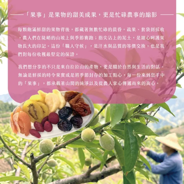 《拉拉山間果事》拉拉山黃金奇異果乾x3包(220g/包)