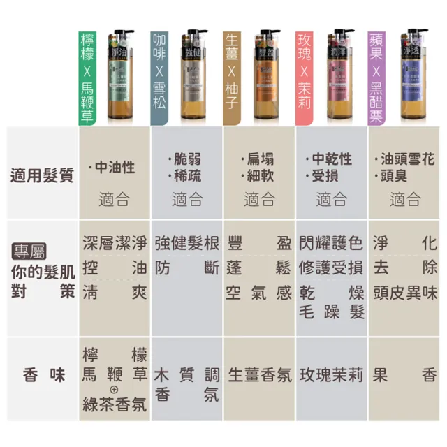 【古寶無患子】SET-成分升級新上市-無矽靈洗髮精露530g
