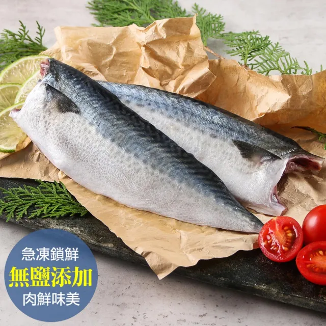 | BALIMAN情報局 【2026】鯖魚推薦|10款高評價人氣品牌排行榜 | BALIMAN情報局