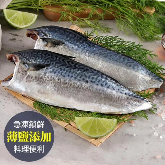 | BALIMAN情報局 【2026】鯖魚推薦|10款高評價人氣品牌排行榜 | BALIMAN情報局