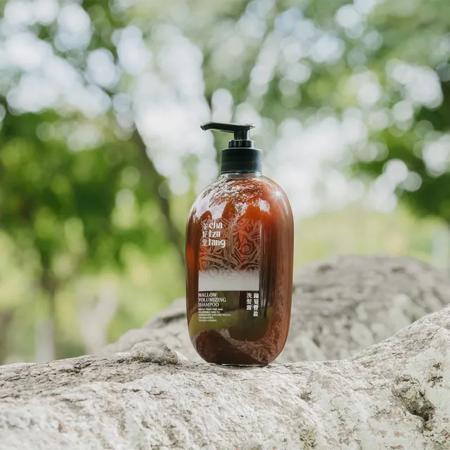 【茶籽堂】草本植萃養護洗髮露500mL｜三款調理任選(錦葵豐盈/桑白皮修護/紫草控油)