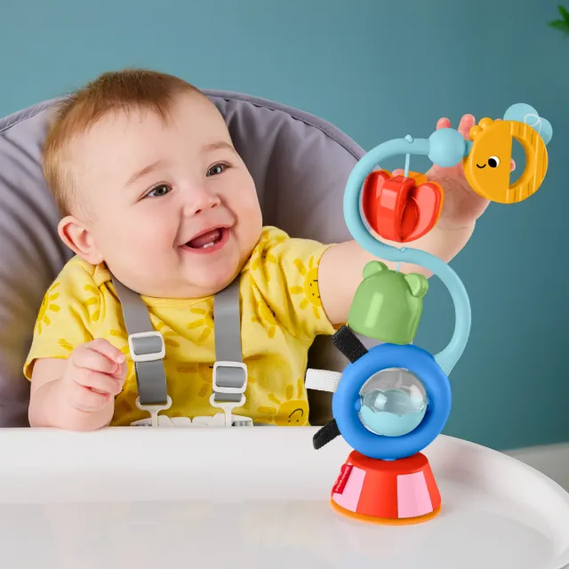 【Fisher price 費雪】感官吸盤玩具