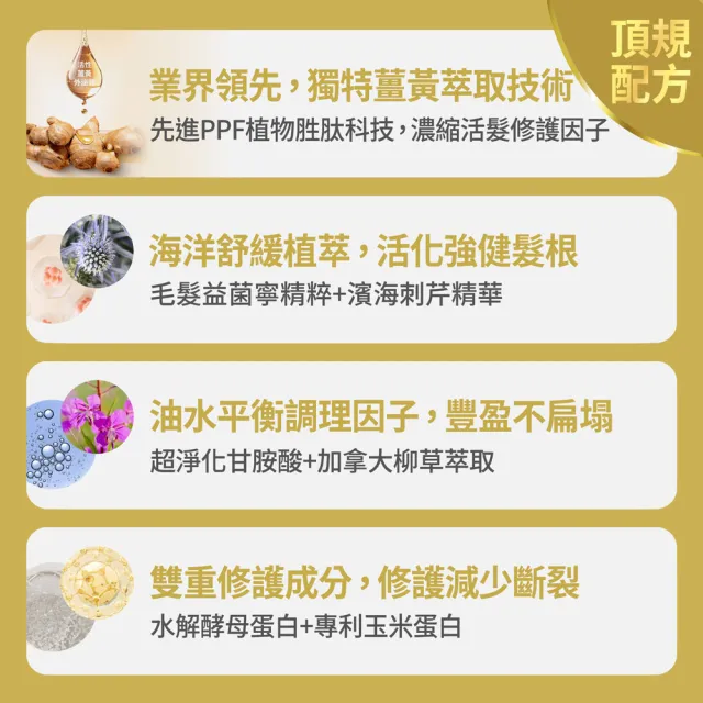【FJ 豐傑生醫】3D薑黃胜肽髮根活化洗髮精-250ml(蓬鬆豐盈ｘ活化強健髮根)