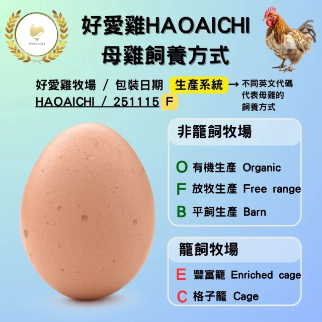 【HAOAICHI 好愛雞】無毒の白殼放牧蛋 小家庭單盤 共30顆(30顆/盤) 非籠飼 無藥殘 無毒飼料 雞蛋