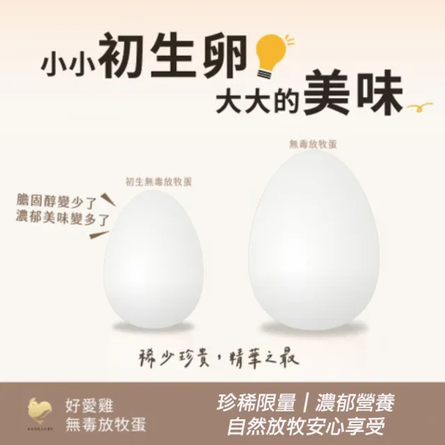 【HAOAICHI 好愛雞】限量初生卵 無毒の白殼放牧蛋 小家庭盤裝 共75顆組 非籠飼無藥殘無毒飼料 雞蛋