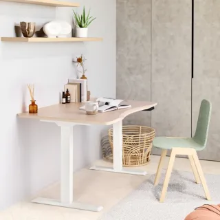 【FUNTE】Mini+ 電動升降桌/二節式 90x60cm 八色可選(辦公桌 電腦桌 工作桌)