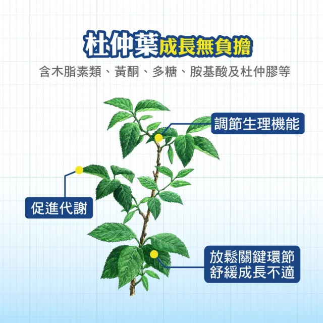 【順天本草】長大人成長膠囊 晶亮補養組-60顆/盒X3(男方-成長關鍵、順天堂集團、調整體質)