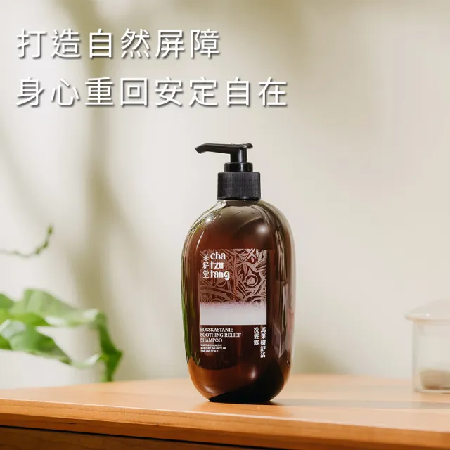 【茶籽堂】三大植萃香氣洗髮露500mL｜三款調理任選(肖楠葉/馬栗樹/水芙蓉/控油保濕)