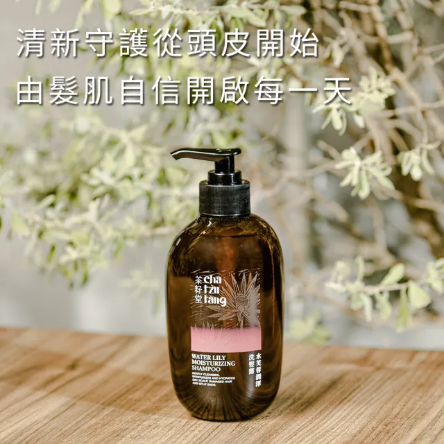 【茶籽堂】三大植萃香氣洗髮露500mL｜三款調理任選(肖楠葉/馬栗樹/水芙蓉/控油保濕)