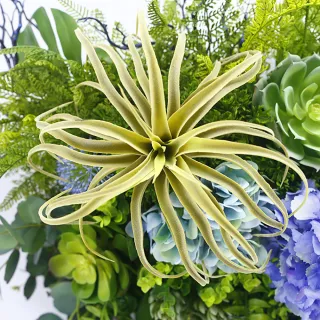【HUGO DECO 榆果傢飾】高擬真藍繡球綠植栽裝置壁飾 免運專人配送限雙北市(佈置/仿真植物/綠化/新居落成)
