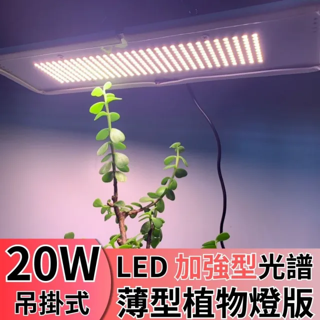 【JIUNPEY 君沛】LED20W薄型植物燈版 20瓦吊掛式植物燈 加強型光譜(植物生長燈 植物燈)