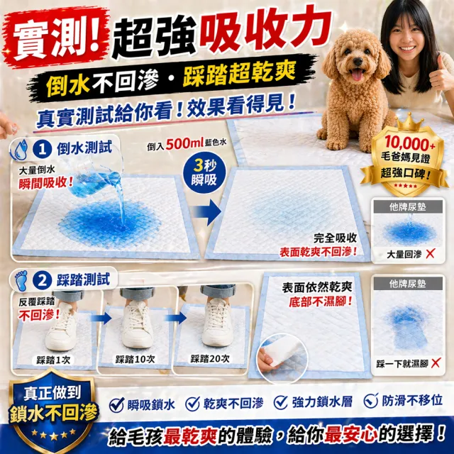 【Huppy 哈比狗狗】哈比狗狗訓練尿布墊2包裝(台灣最多部落客推薦使用)