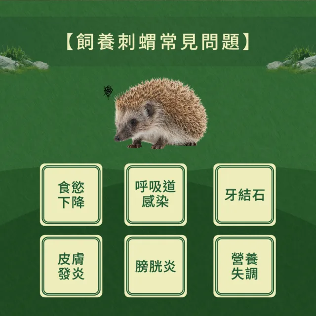 【WeWant 威旺】刺蝟用益生菌+益生元-超能7菌配方(刺蝟保健/刺蝟益生菌/刺蝟)