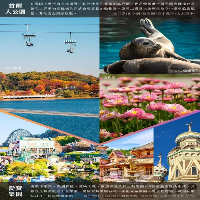 【找到了旅遊】超值首爾五日易斯達航空(下單免領隊小費)