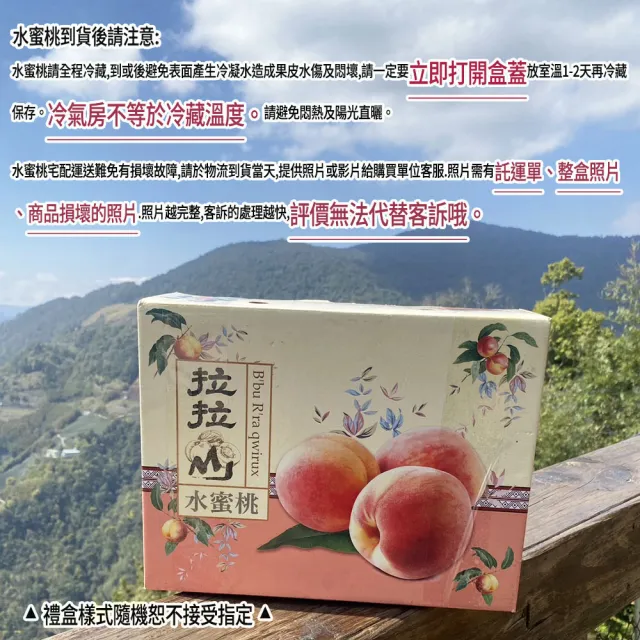 【初品果】拉拉山水蜜桃禮盒12顆x1盒(共12顆_食尚玩家推薦_產地直送_母親節送禮_企業採購)