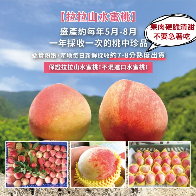 【初品果】拉拉山水蜜桃禮盒8顆x1盒(共8顆_食尚玩家推薦_產地直送_母親節送禮_企業採購)
