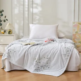 【綠的寢飾】買一送一 冰冰被 冰絲涼感夏涼被 多款任選(150×200cm 夏被/可機洗/四季被) 涼被/冷氣毯