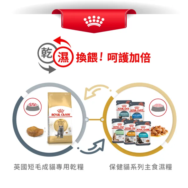 【ROYAL 法國皇家】英國短毛成貓專用飼料 BS34 10KG(貓乾糧)