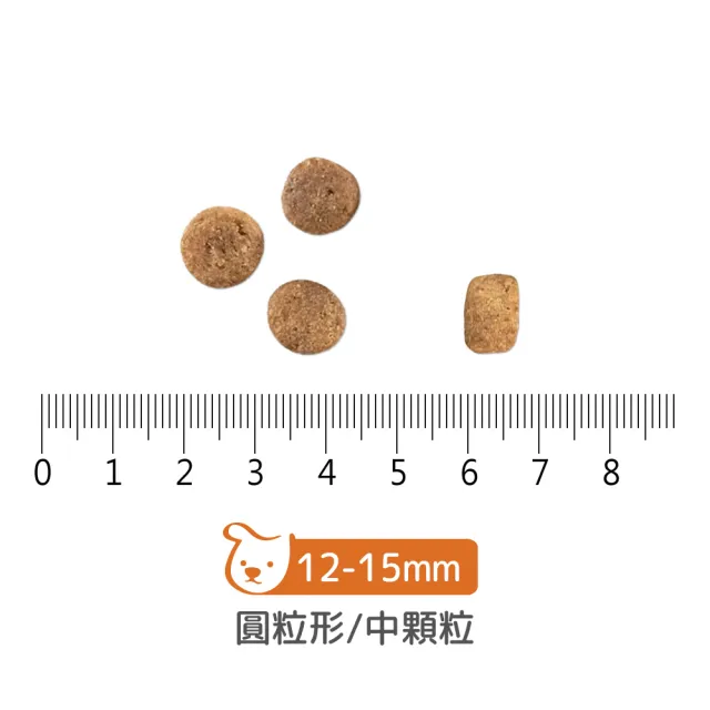 【Now!】中型成犬鮮肉配方3.5磅  狗狗無穀天然糧(狗糧 狗飼料 中顆粒 益生菌)