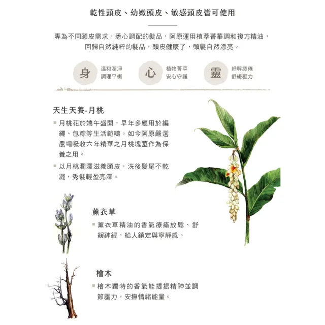 【阿原】薰衣草洗髮露-500mL(清潔同時保養)