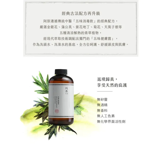 【阿原】艾草洗頭水-500mL(清潔同時保養)