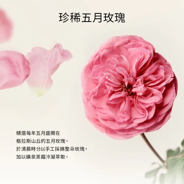 【CHANTECAILLE 香緹卡】五月玫瑰花妍露 100ml(玫瑰純露/化妝水/保濕噴霧) 母親節送禮
