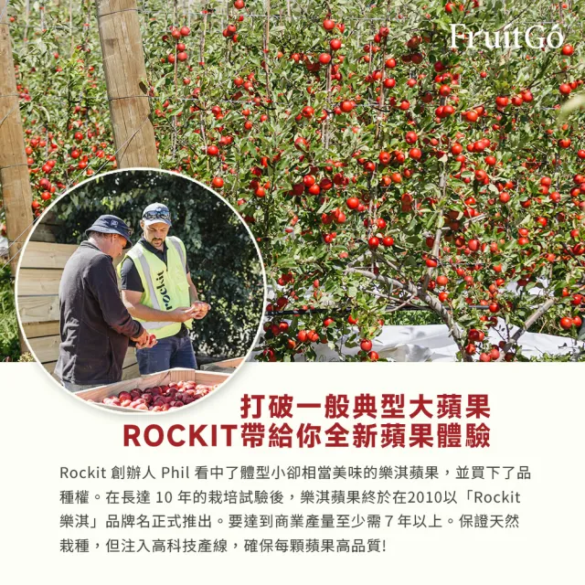 【FruitGo 馥果】(慶生組送20張紋身貼紙)紐西蘭樂淇蘋果_單顆盒裝20顆(#67/72_100g/顆)